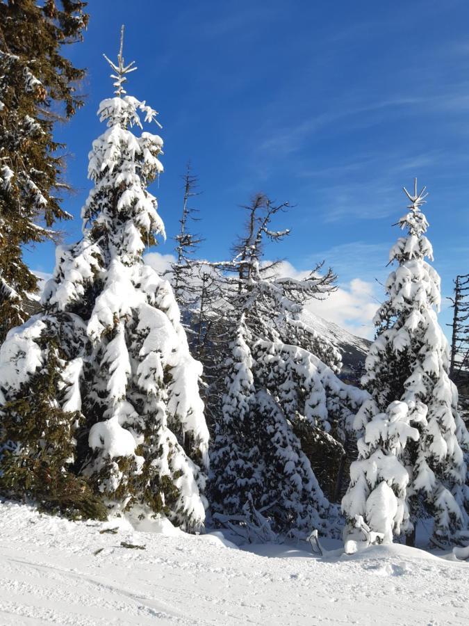 Apartmany Fortuna Vysoké Tatry Extérieur photo